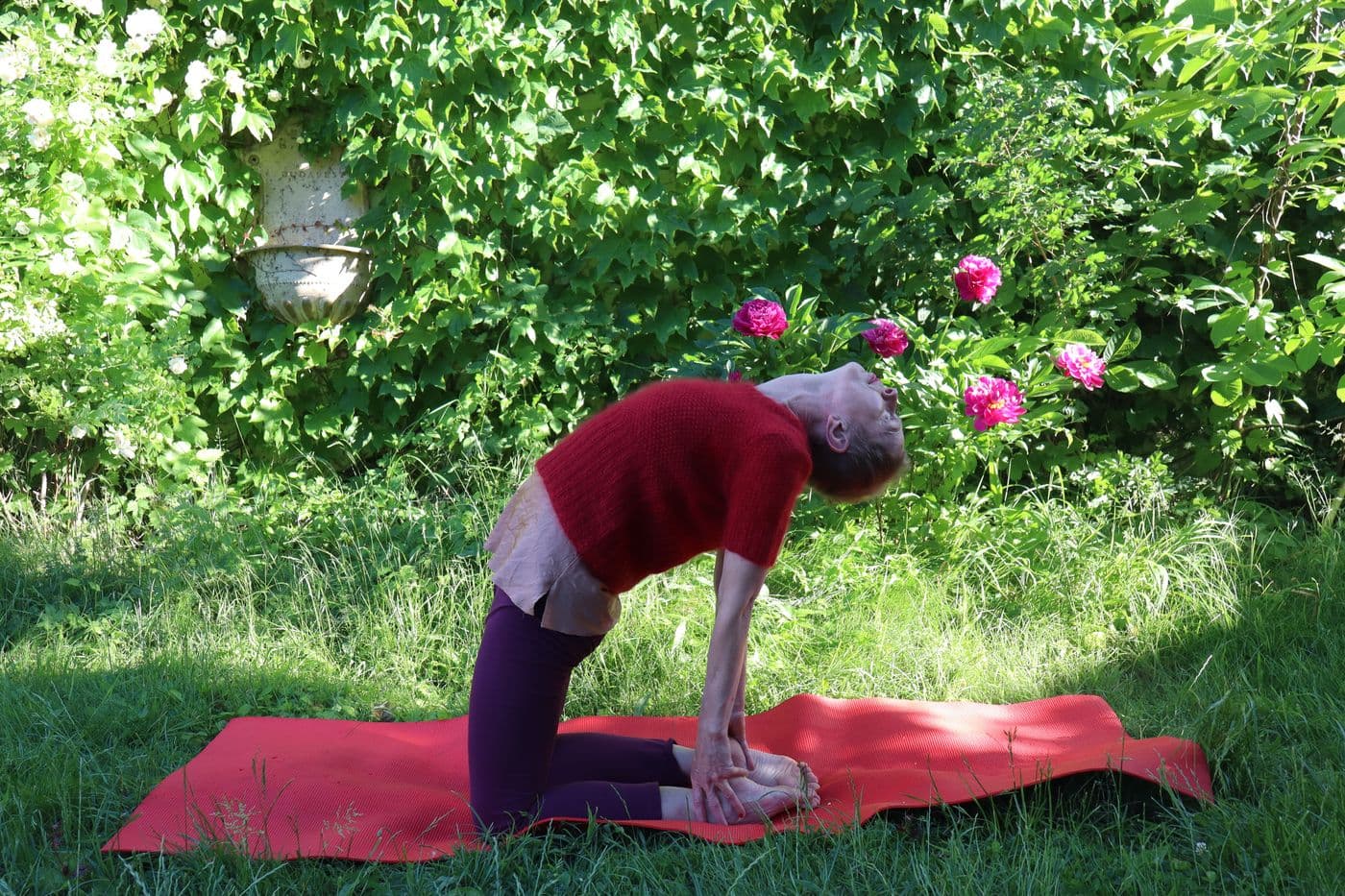 Kamel-Pose (Ustrasana): Rückbeuge im Kniestand auf der roten Matte im Garten