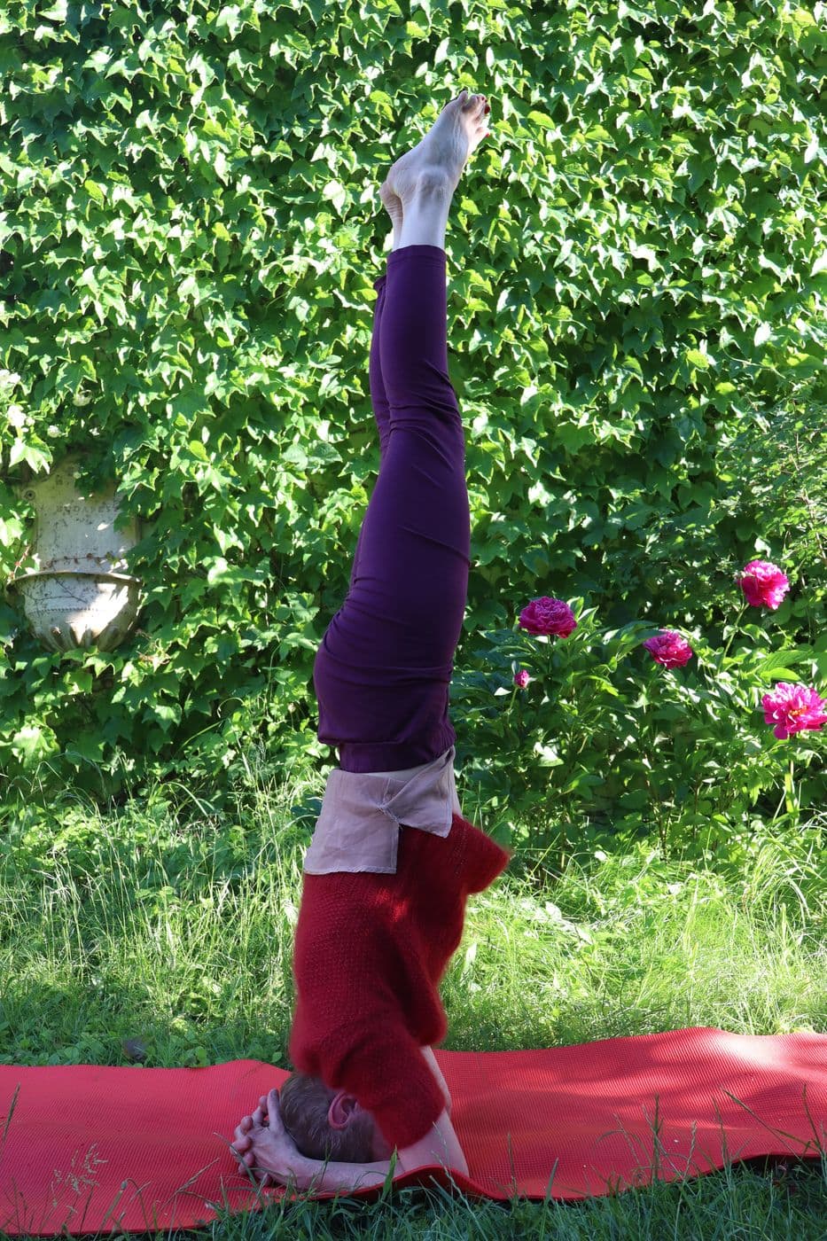 Kopfstand (Shirshasana) vor einer Wand aus wildem Wein